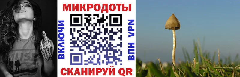 Псилоцибиновые грибы мухоморы  блэк спрут tor  Мыски  купить наркотики сайты 