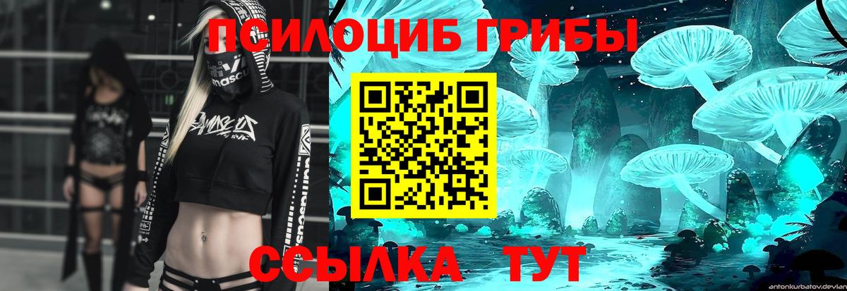 Галлюциногенные грибы мухоморы  Псилоцибиновые грибы прущие грибы  Вход с VPN  купить наркотики сайты  Мыски 